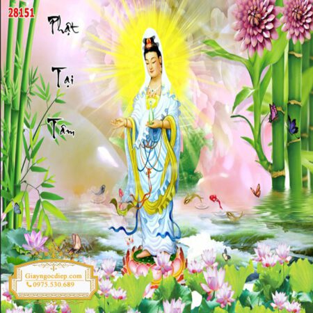 Mẫu Bán Chạy NDBCH259