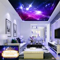 Tranh Galaxy NDGA51